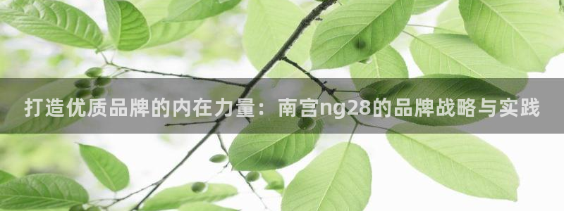 杏悦,apk.1：打造优质品牌的内在力量：南宫ng28的品牌战略与实践