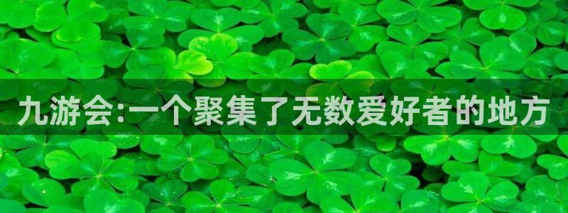 杏悦官网入口：九游会:一个聚集了无数爱好者的地方