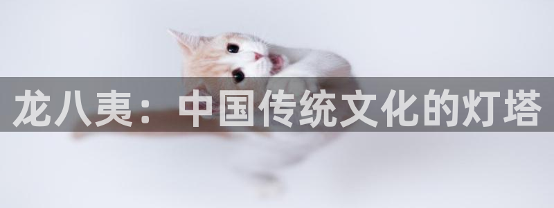 杏悦官方网站下载：龙八夷：中国传统文化的灯塔