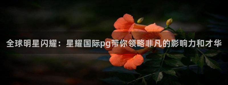 杏悦强制退款流程详解：全球明星闪耀：星耀国际pg带你领略非凡的影响力和才华