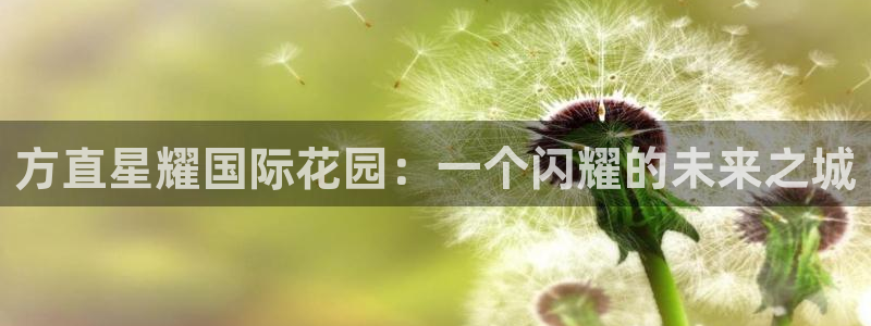 杏悦官方网站下载：方直星耀国际花园：一个闪耀的未来之城