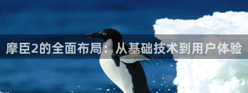 杏悦平台app下载：摩臣2的全面布局：从基础技术到用户体验