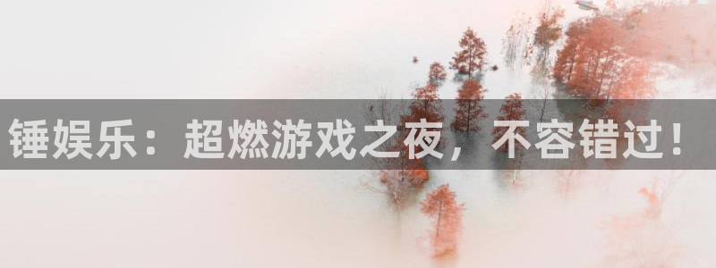 壹号平台下载：锤娱乐：超燃游戏之夜，不容错过！
