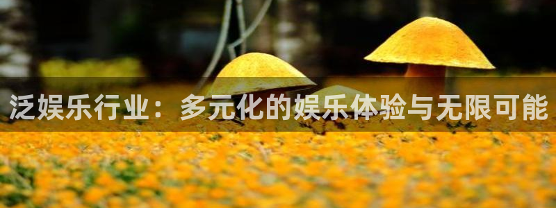 杏悦电子游戏官网：泛娱乐行业：多元化的娱乐体验与无限可能