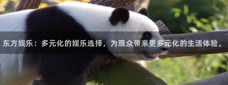 壹号app下载：东方娱乐：多元化的娱乐选择，为观众带来更多元化的生活体验。