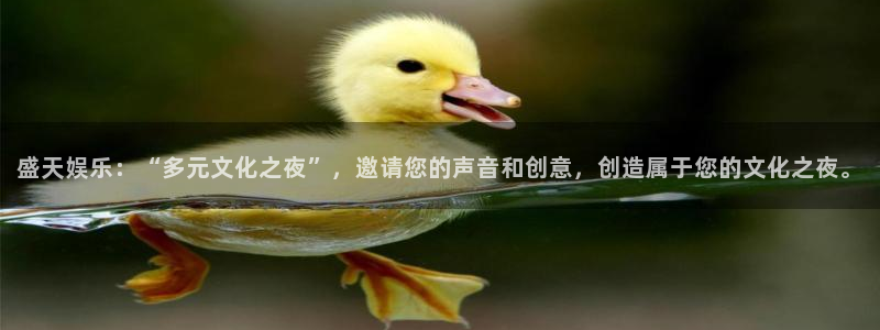 杏悦-ng大舞台,有梦你就来：盛天娱乐：“多元文化之夜”，邀请您的声音和创意，创造属于您的文化之夜。