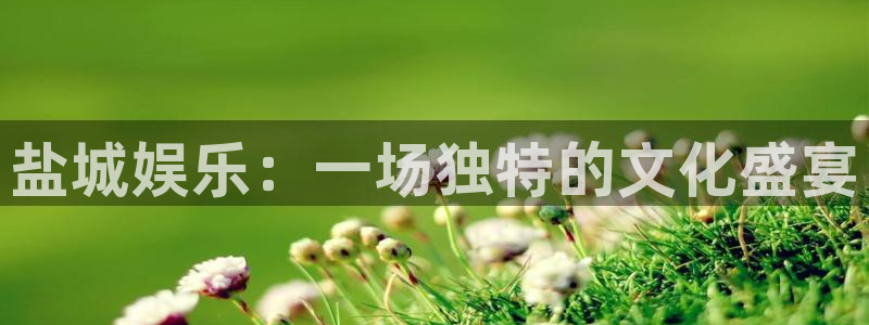 壹号大舞台怎么下载：盐城娱乐：一场独特的文化盛宴
