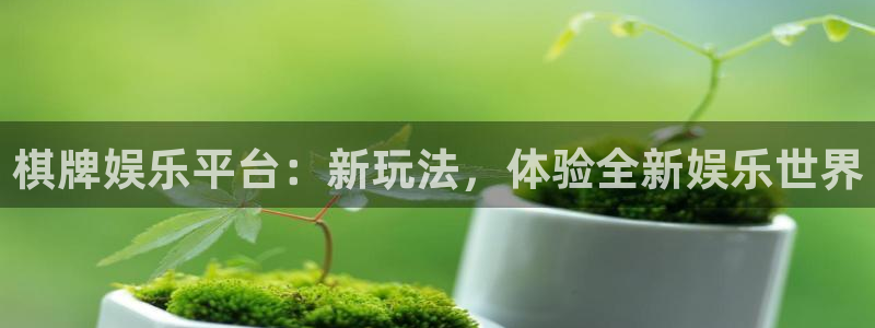壹号app下载链接：棋牌娱乐平台：新玩法，体验全新娱乐世界