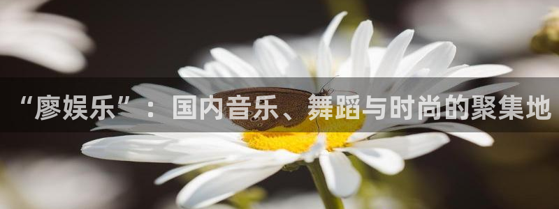 壹号平台注册链接官网下载：“廖娱乐”：国内音乐、舞蹈与时尚的聚集地